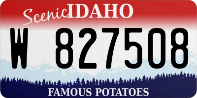 ID license plate W827508