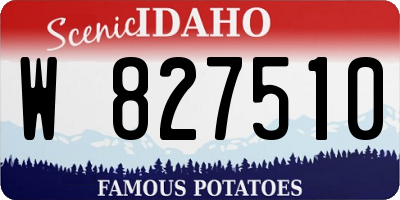 ID license plate W827510