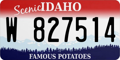 ID license plate W827514