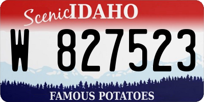 ID license plate W827523