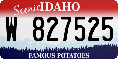 ID license plate W827525