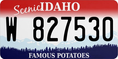 ID license plate W827530