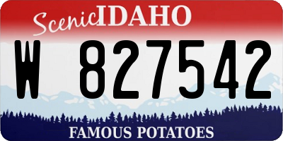 ID license plate W827542
