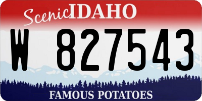 ID license plate W827543