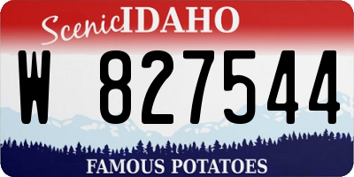 ID license plate W827544