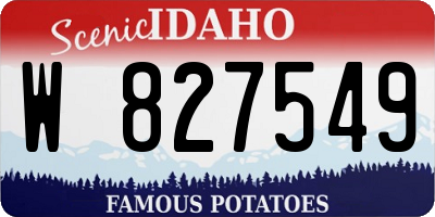 ID license plate W827549