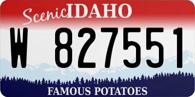 ID license plate W827551