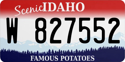 ID license plate W827552