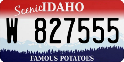 ID license plate W827555