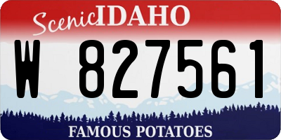 ID license plate W827561