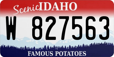 ID license plate W827563