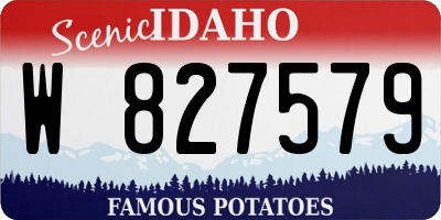 ID license plate W827579