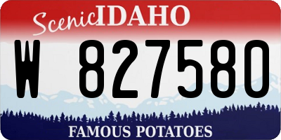 ID license plate W827580