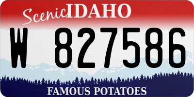 ID license plate W827586