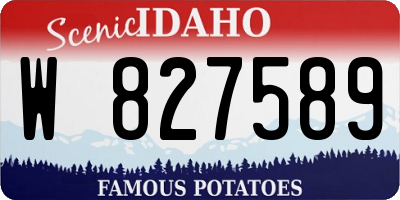 ID license plate W827589