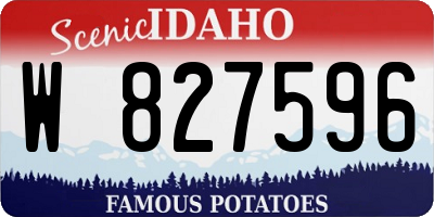 ID license plate W827596