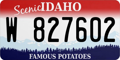 ID license plate W827602