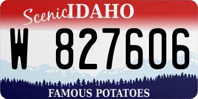 ID license plate W827606