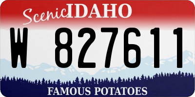 ID license plate W827611
