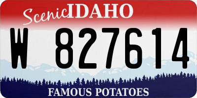 ID license plate W827614
