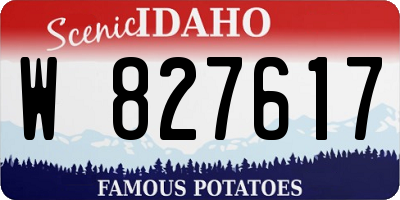 ID license plate W827617
