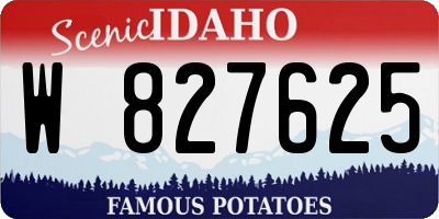 ID license plate W827625
