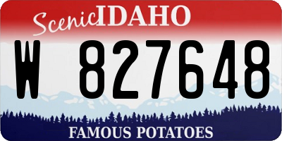 ID license plate W827648