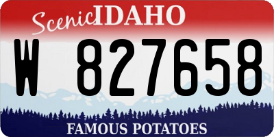 ID license plate W827658