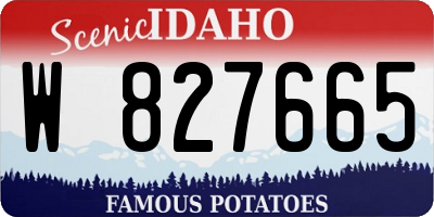 ID license plate W827665