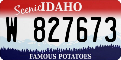 ID license plate W827673