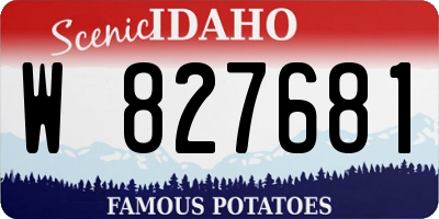 ID license plate W827681