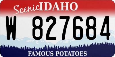 ID license plate W827684
