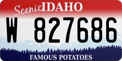 ID license plate W827686
