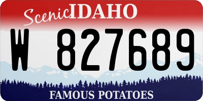 ID license plate W827689