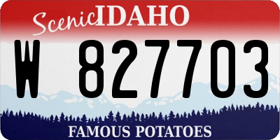 ID license plate W827703