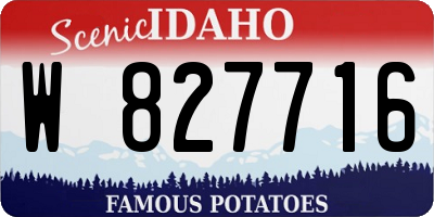 ID license plate W827716