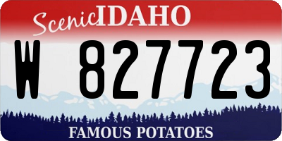 ID license plate W827723