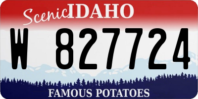 ID license plate W827724