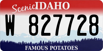 ID license plate W827728