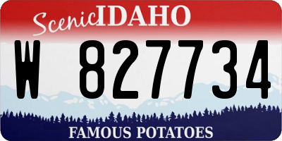 ID license plate W827734