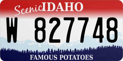 ID license plate W827748
