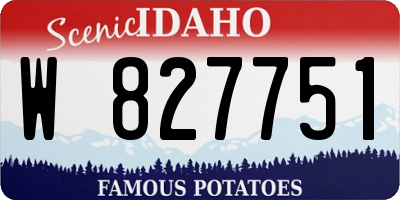 ID license plate W827751