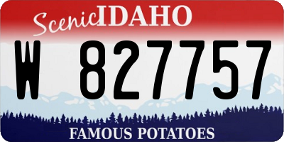 ID license plate W827757