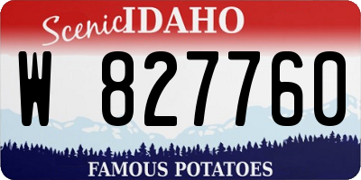ID license plate W827760