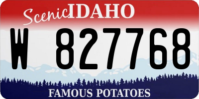 ID license plate W827768