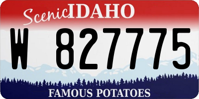 ID license plate W827775
