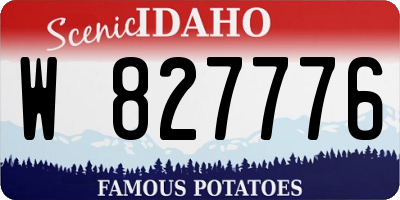 ID license plate W827776