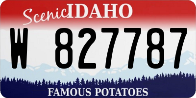 ID license plate W827787