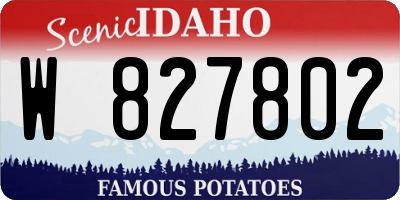 ID license plate W827802