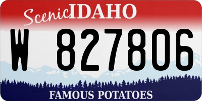 ID license plate W827806
